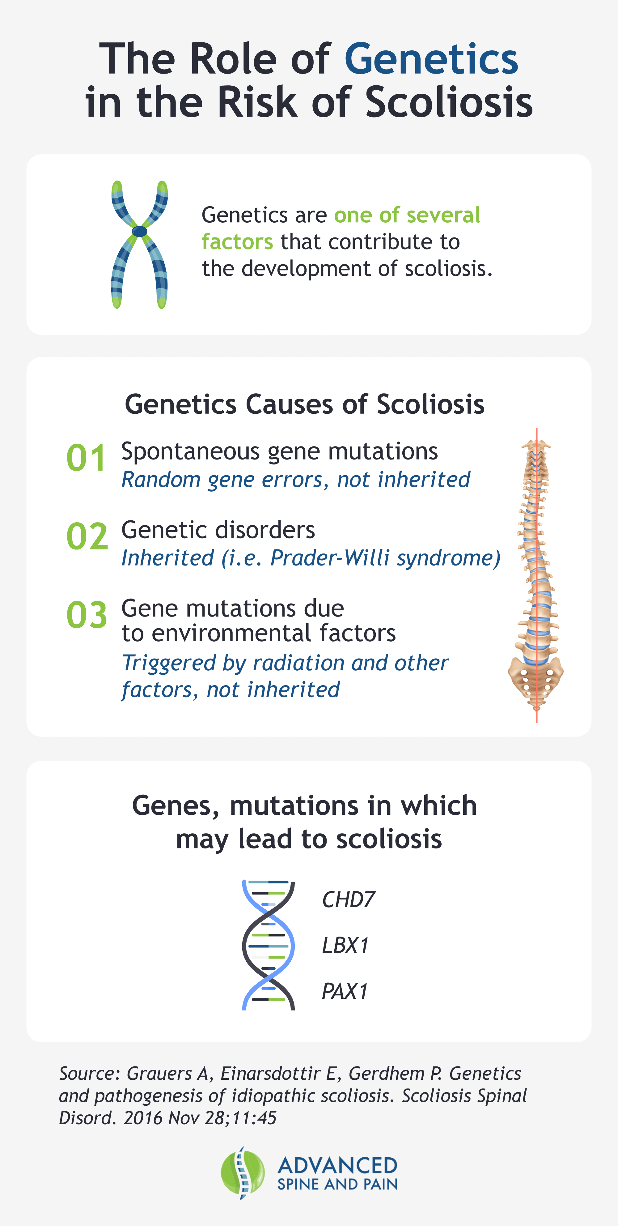 An infographic describing the role of genetics in the risk of scoliosis.