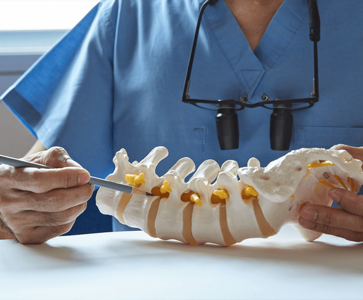 Doctor pointing to an area on a model of the spine