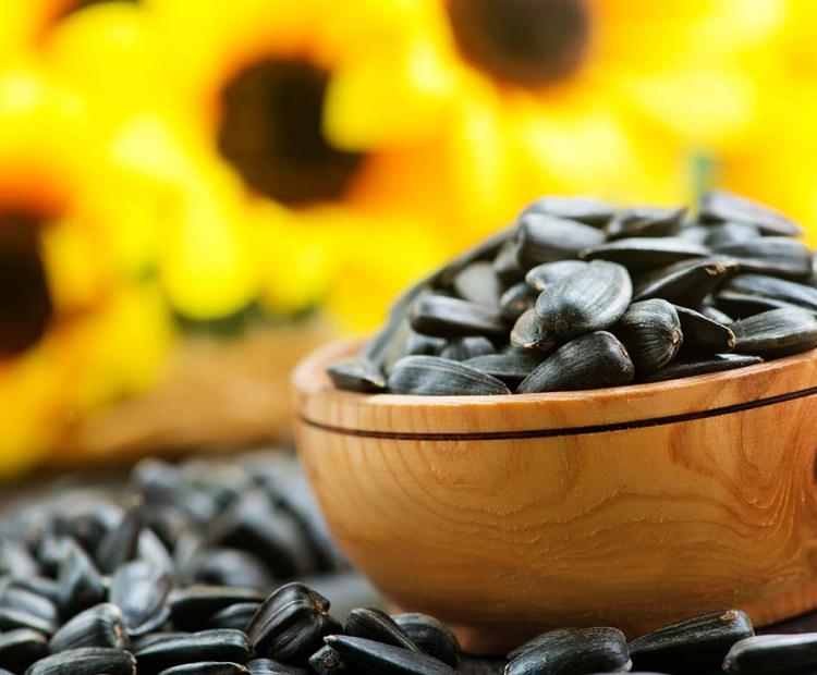 Sunflower seeds in bowl