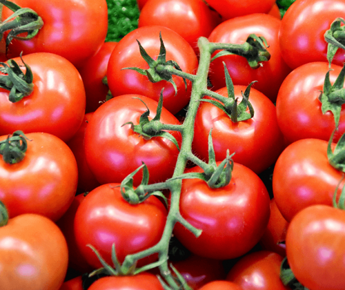 Tomatoes on the vine