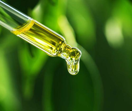 CBD oil in dropper