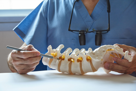 Doctor pointing to model of spine