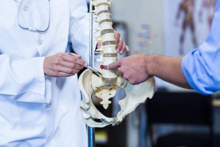 A doctor explaining parts of the spine with a spine model to a patient. 